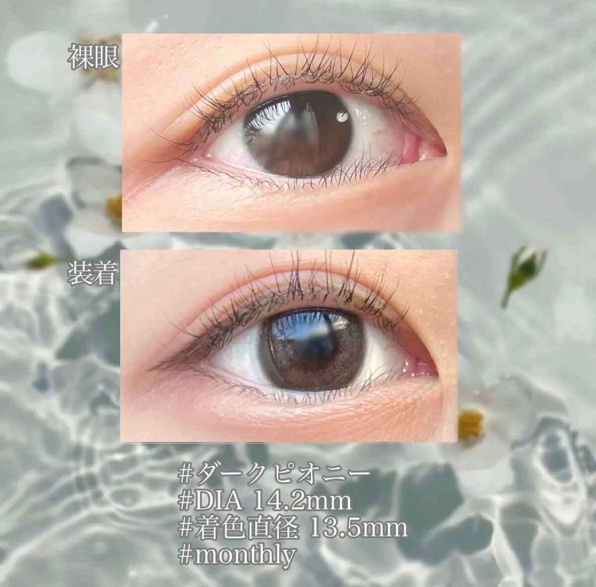 デコラティブアイズ ヴェール/Decorative Eyes/カラーコンタクトレンズを使ったクチコミ(4枚目)