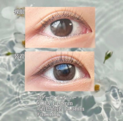 デコラティブアイズ ヴェール/Decorative Eyes/カラーコンタクトレンズを使ったクチコミ(4枚目)