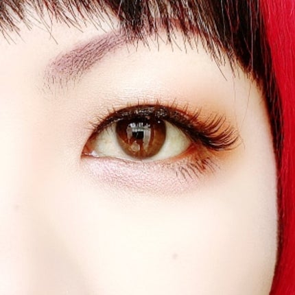 パノラマデザイン アイパレット/Visée/アイシャドウパレットを使ったクチコミ(6枚目)