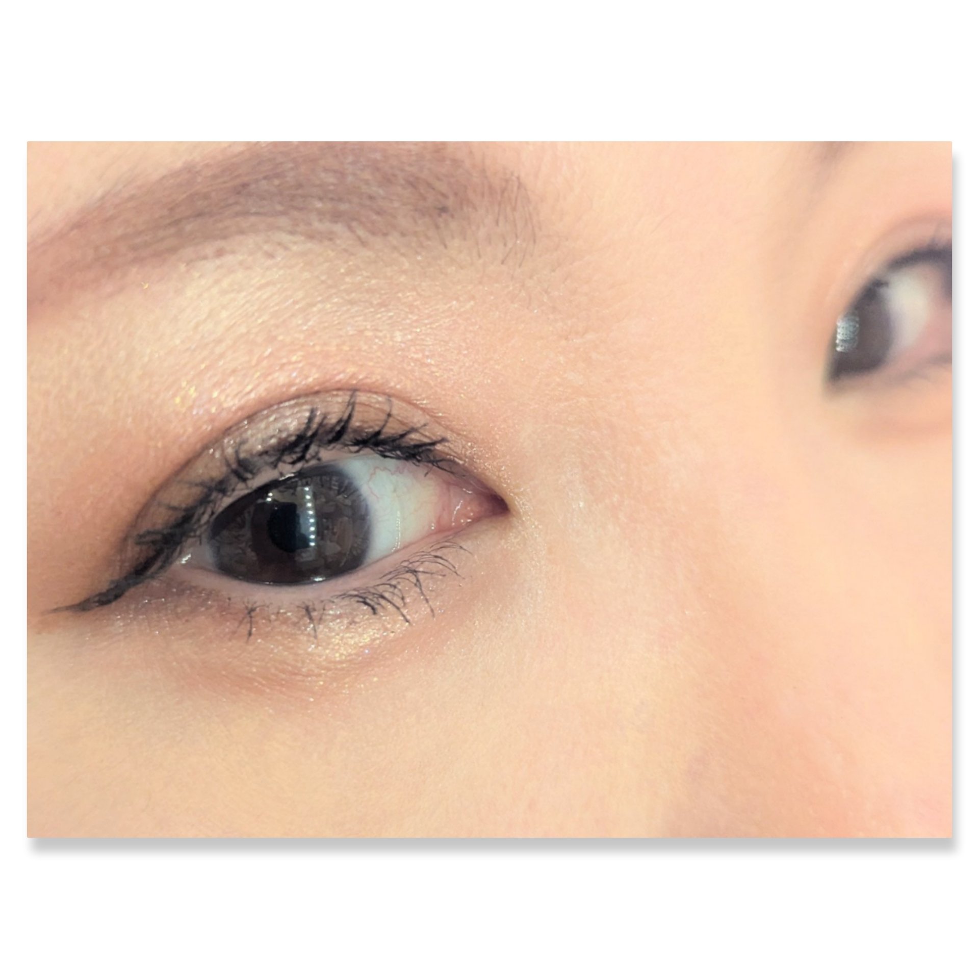 BEAUTIFUL DE6色アイシャドウパレット/ピコモンテ/アイシャドウパレットを使ったクチコミ（2枚目）