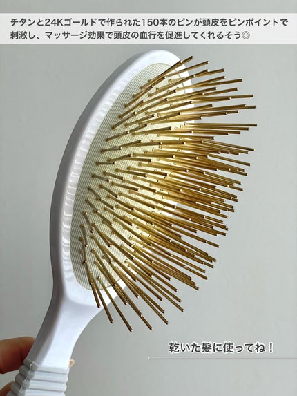 プレミアム FOXカッサ ヘアブラシ/SNOW FOX SKINCARE/ヘアブラシを使ったクチコミ(2枚目)