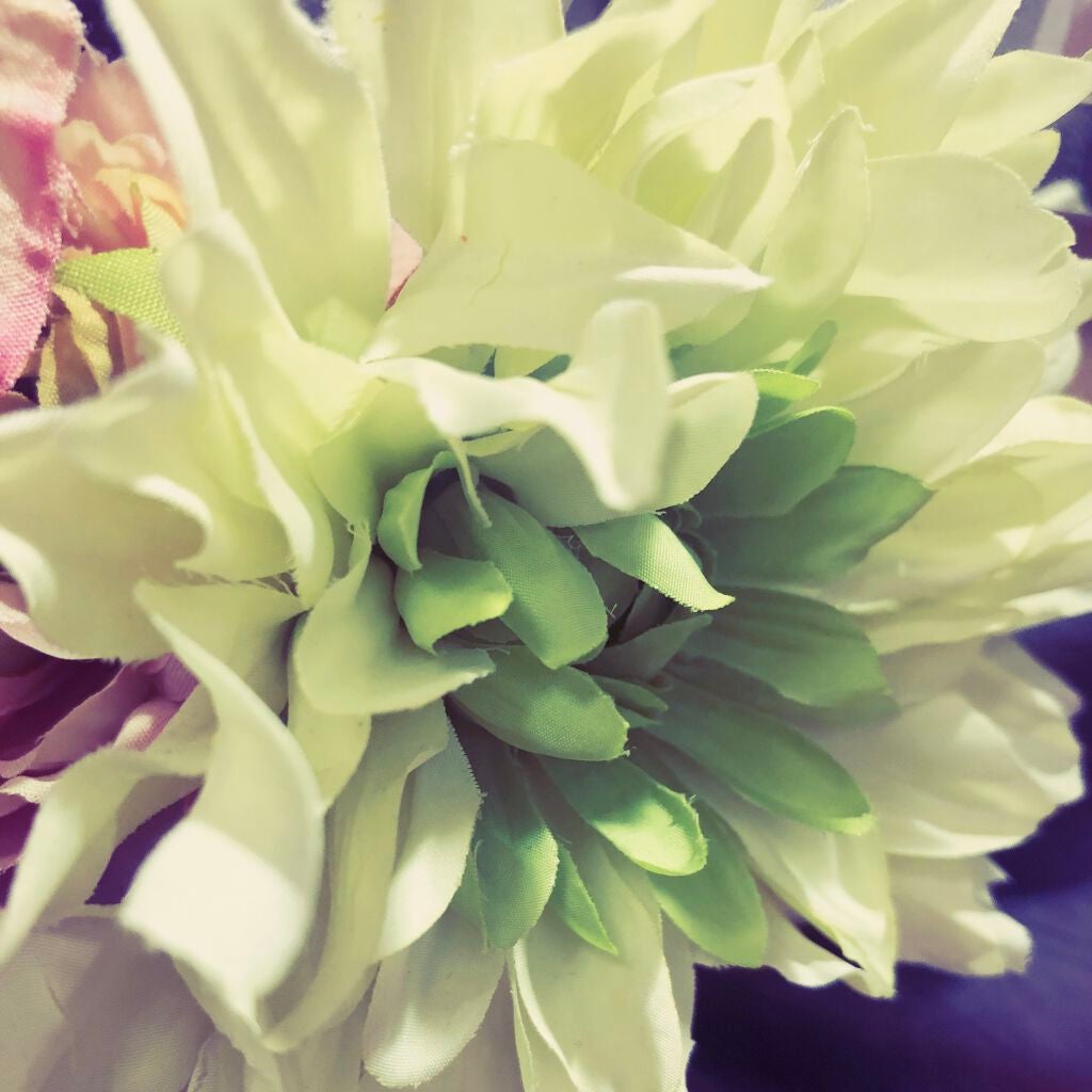 マツさん on LIPS 「まるで間違い探しだな。今まで撮った目の写真。違いがわからない、..」(1枚目)