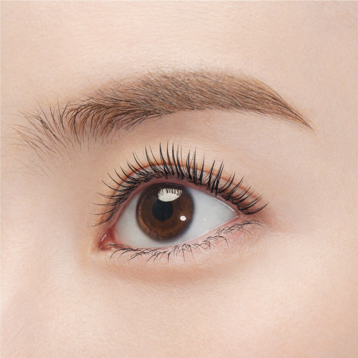 MOTELASH(ウズ モテラッシュ) UZU BY FLOWFUSHI