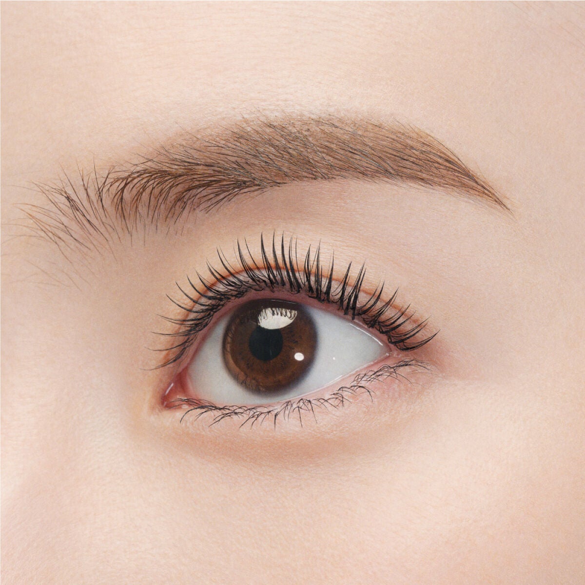 MOTELASH(ウズ モテラッシュ) UZU BY FLOWFUSHI