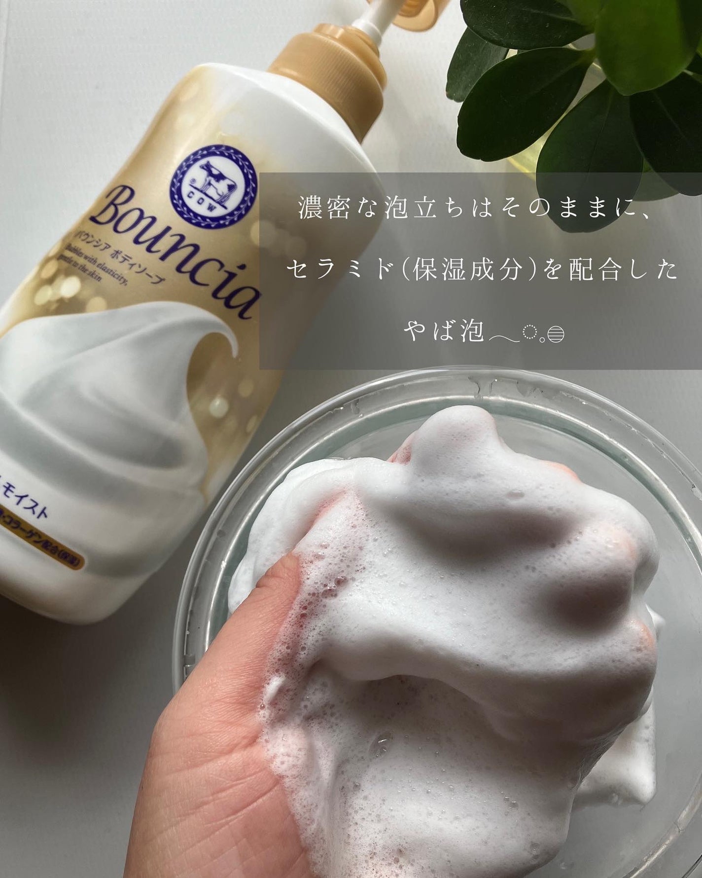 バウンシア ボディソープ ホワイトソープの香り/Bouncia/ボディソープを使ったクチコミ(2枚目)