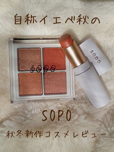 アイパレット/sopo/パウダーアイシャドウを使ったクチコミ（1枚目）