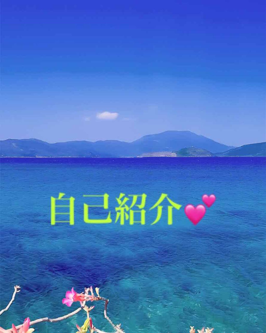 自己紹介/雑談/その他を使ったクチコミ（1枚目）