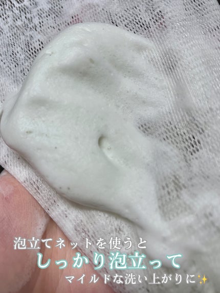 グリーントマトクレイマスククレンザー/FULLY/洗い流すパック・マスクを使ったクチコミ(4枚目)