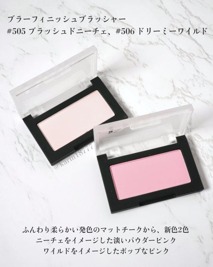 ブラーフィニシュシャドウパレット/Dinto/アイシャドウパレットを使ったクチコミ(5枚目)