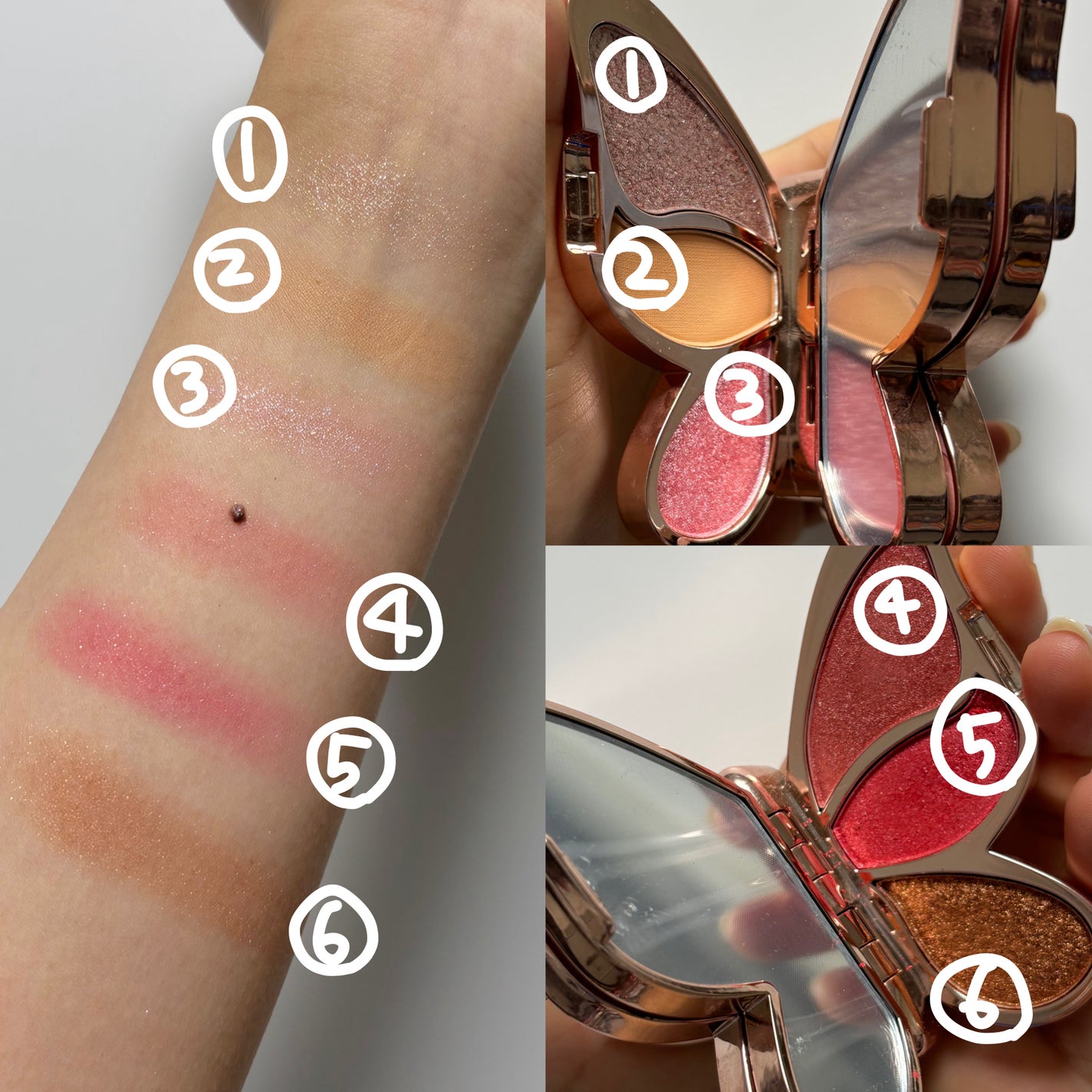 butterfly 6 colors Eye Shadow/gecomo/アイシャドウパレットを使ったクチコミ(2枚目)