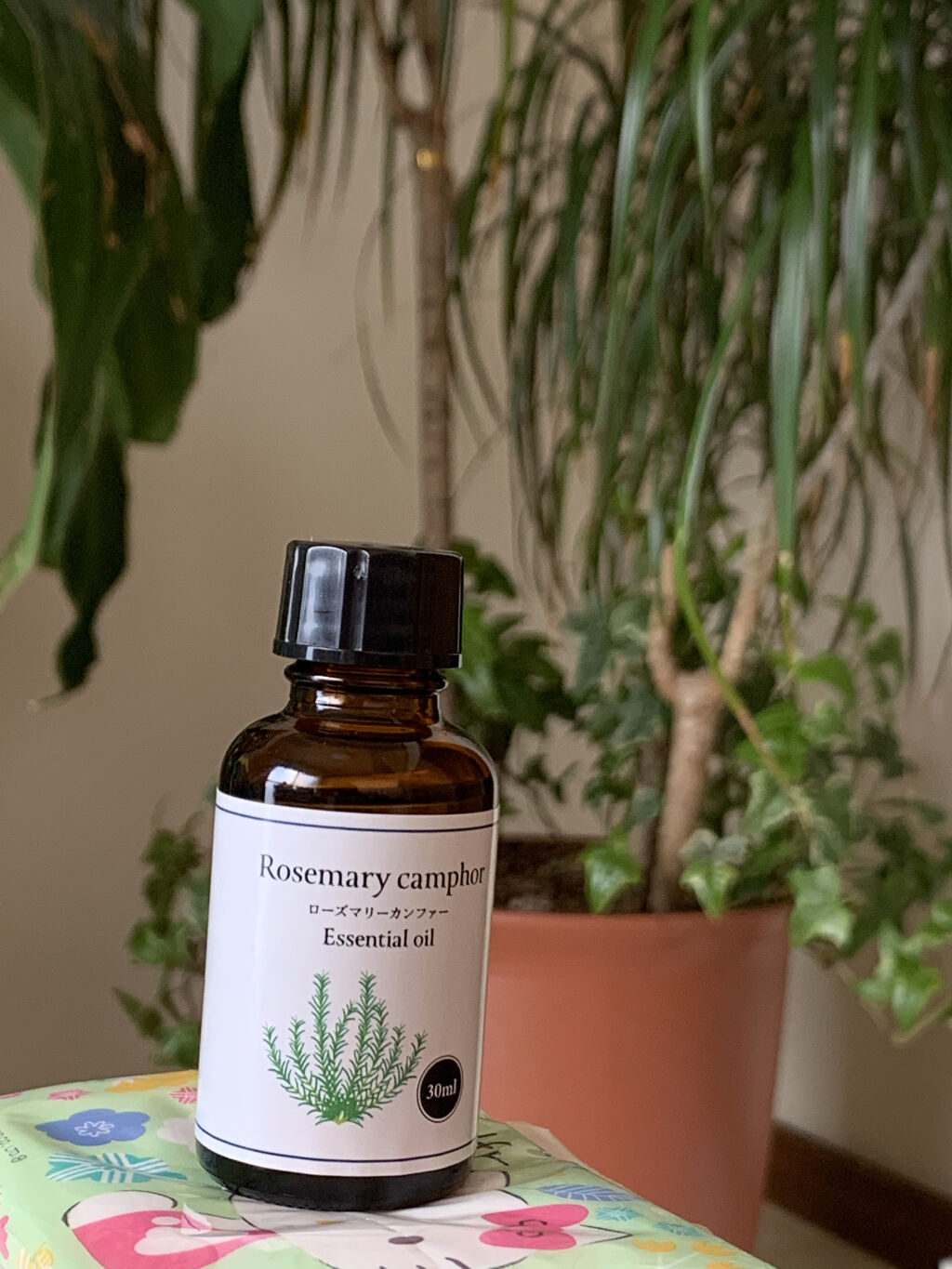 

　Rosemary camphor❣️

　　Essential oil💕

　アロマオイル生活を　またしてみようと思い
　ネットで注文しました❣️

　とりあえず　届いて　消臭しよう❣️と思い
　作ってみました❣️

　保冷剤にアロ