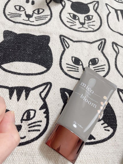 ミコブルーム/FABIUS/リキッドファンデーションを使ったクチコミ(2枚目)