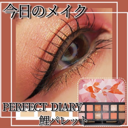 エクスプローラ12色 動物アイシャドウパレット/PERFECT DIARY/アイシャドウパレットを使ったクチコミ(1枚目)