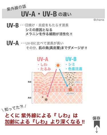 chama ｜ニキビ体質の正直レビュー🌻 on LIPS 「もう皆んな知ってるよね⁈肌の老化の原因は...⁈これからどんど..」（3枚目）