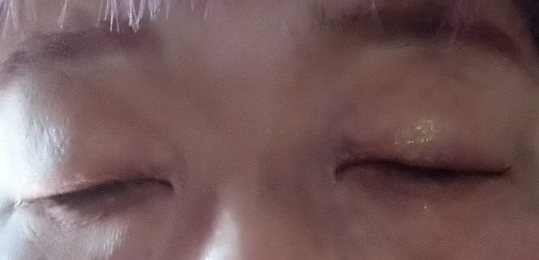 レトロマグネティック アイシャドウパレット/FlowerKnows/アイシャドウパレットを使ったクチコミ（3枚目）