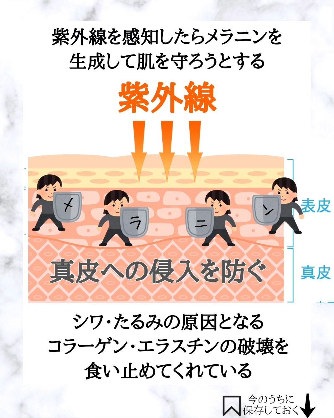 みついだいすけ on LIPS 「肌が白い人にお伝えしたいのはシワやたるみの原因となるUVAを..」(6枚目)