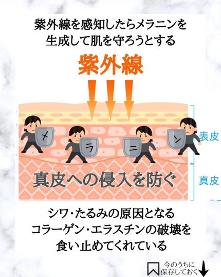 みついだいすけ on LIPS 「肌が白い人にお伝えしたいのはシワやたるみの原因となるUVAを..」(6枚目)
