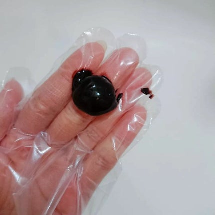 RJヘアカラートリートメント/アピセラピーコスメティクス/洗い流すヘアトリートメントを使ったクチコミ(5枚目)