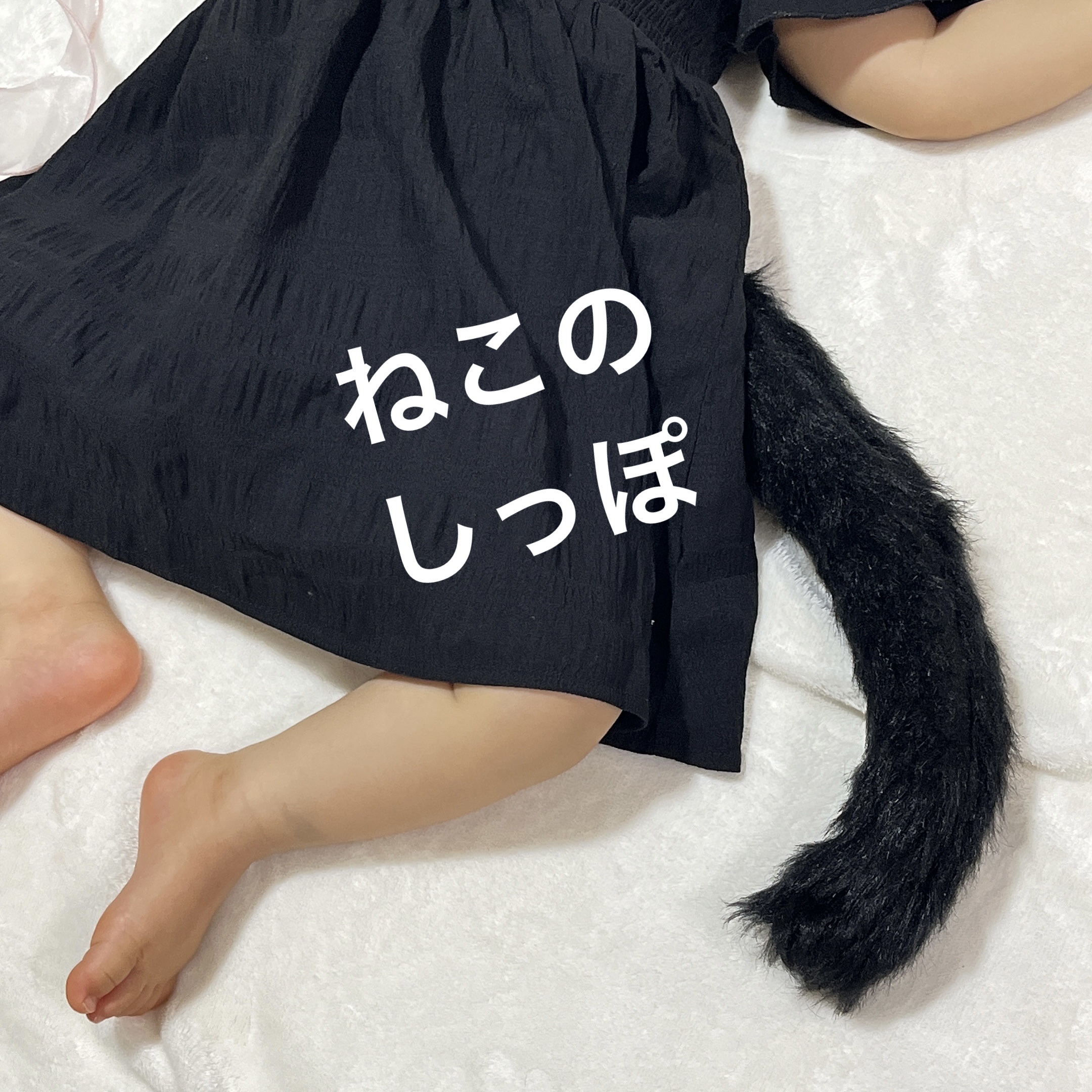 にゃんこヘアターバン/DAISO/ヘアアクセサリーを使ったクチコミ（1枚目）