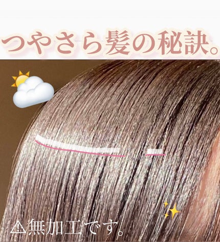 コンパクトスタイラー/TANGLE TEEZER/ヘアブラシを使ったクチコミ(1枚目)