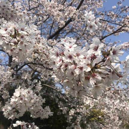 ネイルポリッシュリムーバー EX/D-UP/除光液を使ったクチコミ(2枚目)