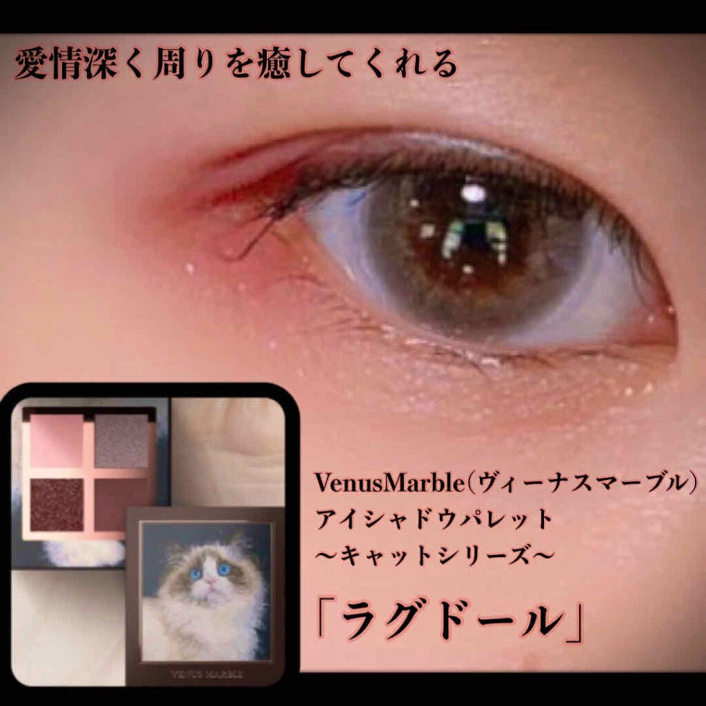 Venus Marble アイシャドウキャットシリーズ/Venus Marble/アイシャドウパレットを使ったクチコミ(1枚目)