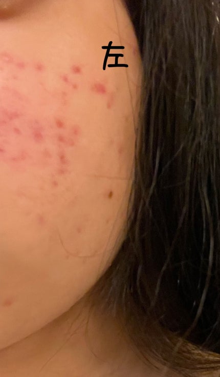 ã䜿ã£ãã¯ãã³ãïŒ2æç®ïŒ