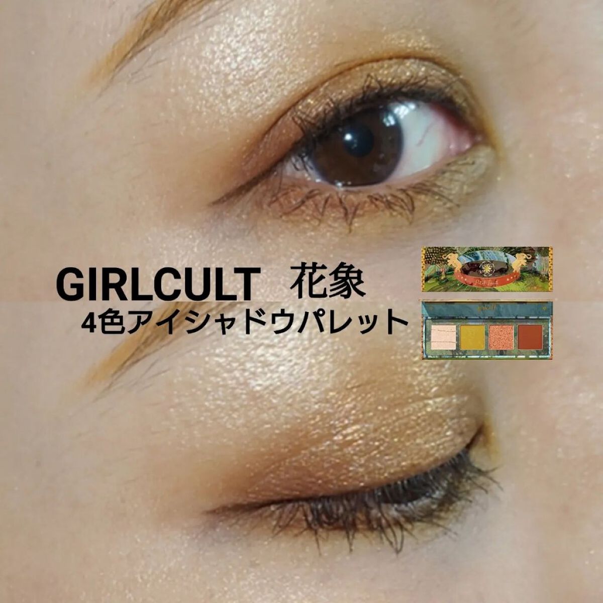 山海シリーズ 4色アイシャドウパレット 05 花象 elephant/GirlCult/アイシャドウパレットを使ったクチコミ（1枚目）