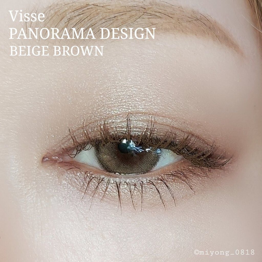 パノラマデザイン アイパレット/Visée/アイシャドウパレットを使ったクチコミ(5枚目)