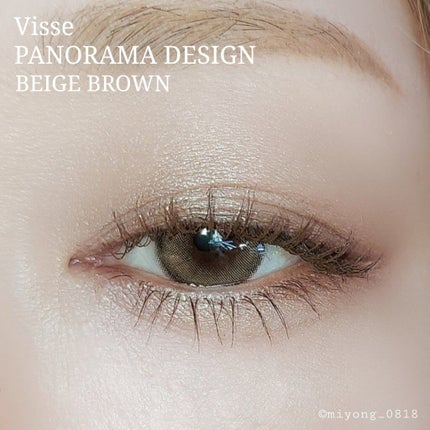 パノラマデザイン アイパレット/Visée/アイシャドウパレットを使ったクチコミ(5枚目)