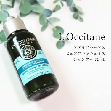 ファイブハーブス ピュアフレッシュネス シャンプー／コンディショナー シャンプー75ml/L'OCCITANE/シャンプー・コンディショナーを使ったクチコミ（2枚目）