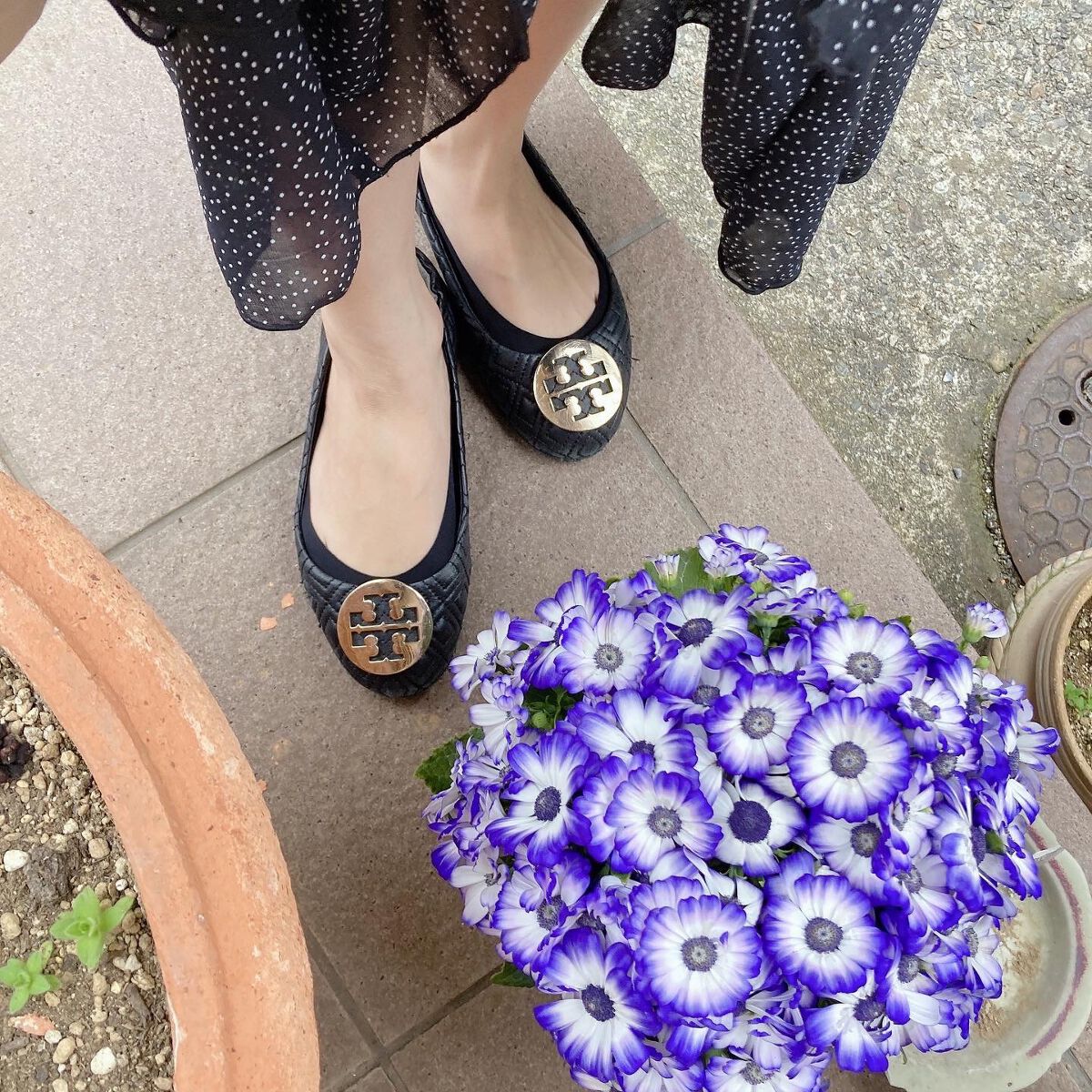 excellence Tabbish フットカバー(浅履き先丸型) /excellence/その他を使ったクチコミ(4枚目)