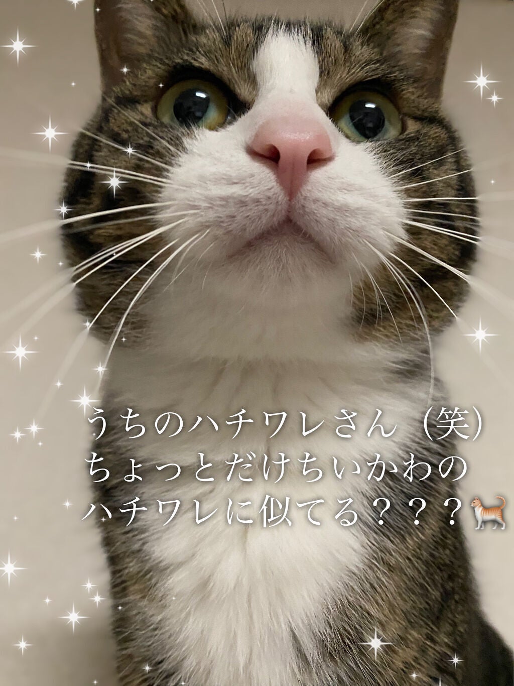 ちいかわ前髪クリップ/きゃらぱち/ヘアアクセサリーを使ったクチコミ(4枚目)