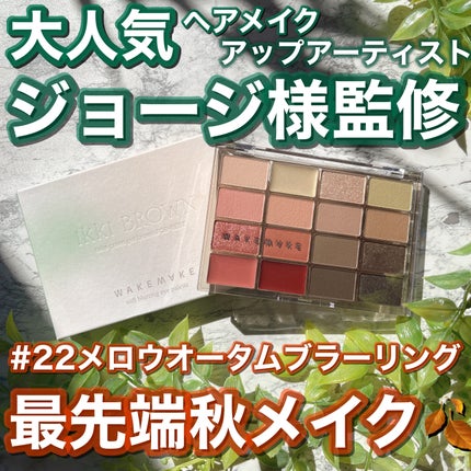 ソフトブラーリングアイパレット/wakemake/アイシャドウパレットを使ったクチコミ(1枚目)