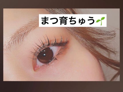 スカルプD ボーテ ピュアフリーアイラッシュセラム プレミアム/アンファー(スカルプD)/まつげ美容液を使ったクチコミ(1枚目)