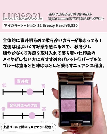 RANCABLE TRIP EYE PALETTE/IBIM/アイシャドウパレットを使ったクチコミ（3枚目）