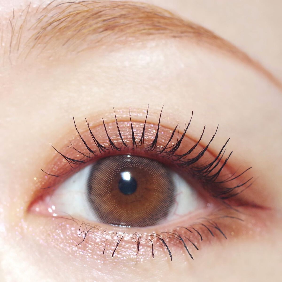 わんだふるアイカラー/KIREI FACTORY/アイシャドウパレットを使ったクチコミ(4枚目)