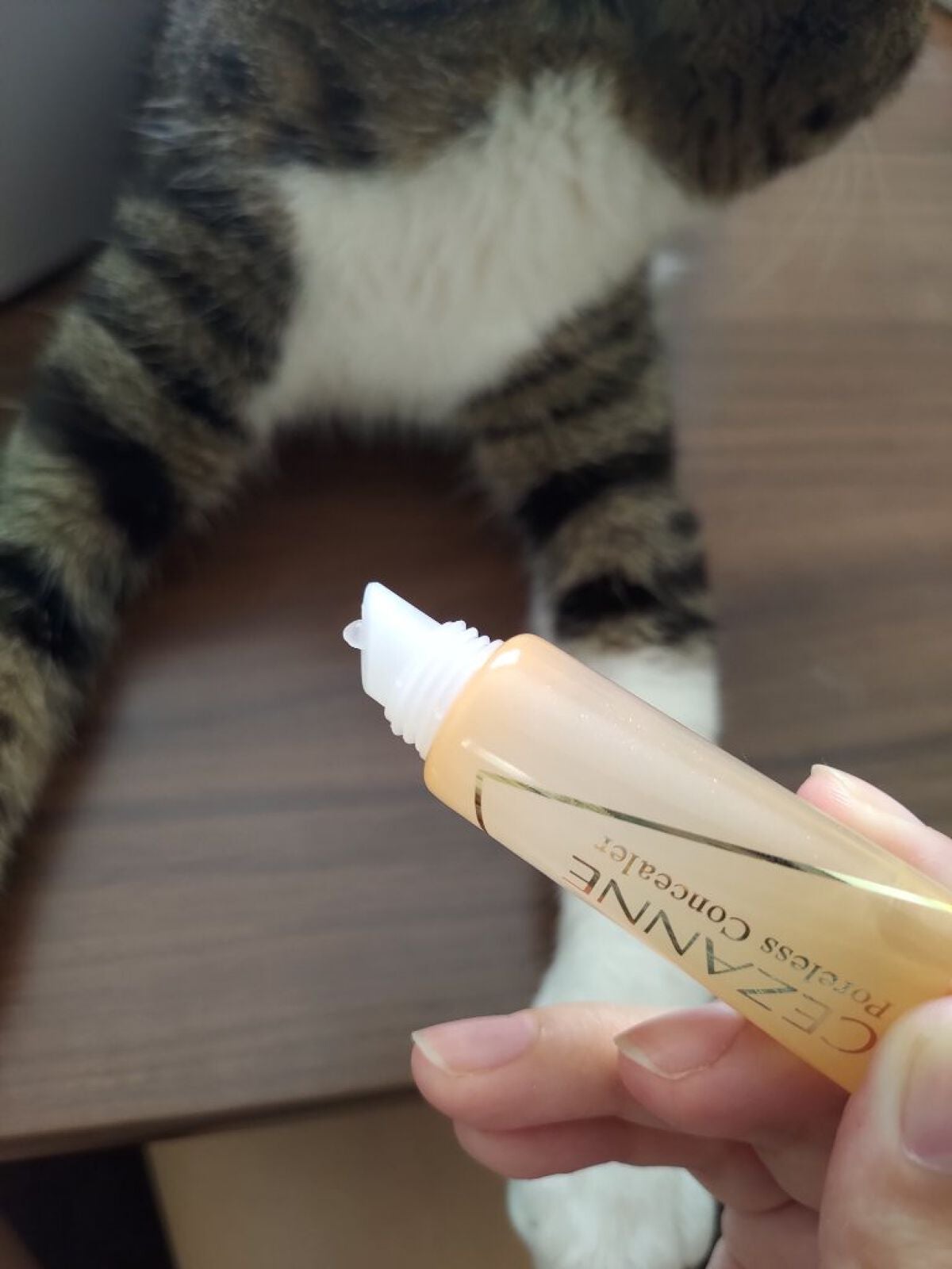 毛穴レスコンシーラー/CEZANNE/クリームコンシーラーを使ったクチコミ(1枚目)