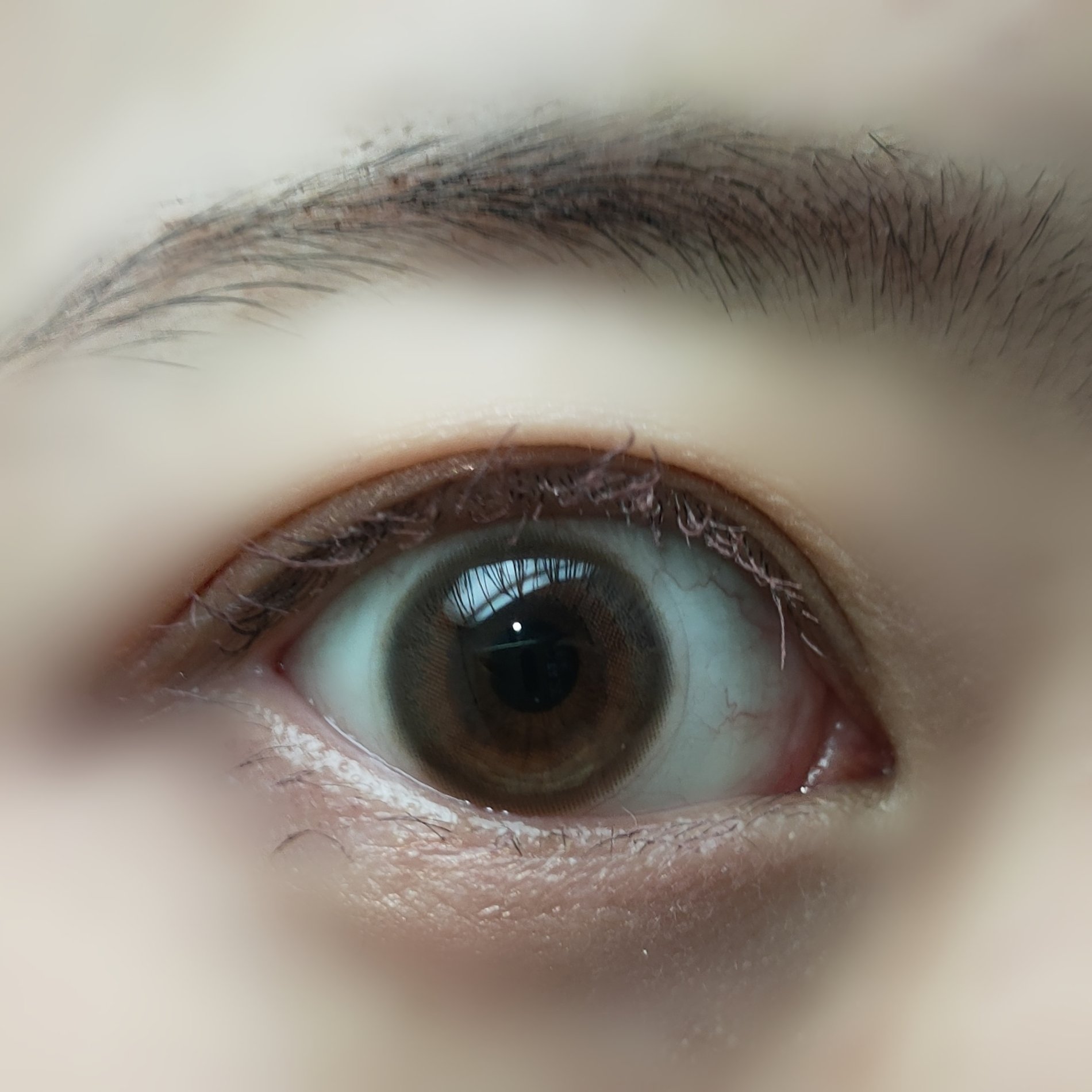 EYECICLE 1day/EYECICLE/カラーコンタクトレンズを使ったクチコミ（3枚目）