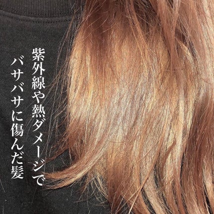 THE BEAUTY 髪ã®ãã¡çŸå®¹ã·ã£ã³ããŒïŒã³ã³ãã£ã·ã§ããŒïŒã¢ã€ã¹ããªãã¢ïŒ	/ãšãã»ã³ã·ã£ã«/åžè²©ã·ã£ã³ããŒã䜿ã£ãã¯ãã³ãïŒ4æç®ïŒ