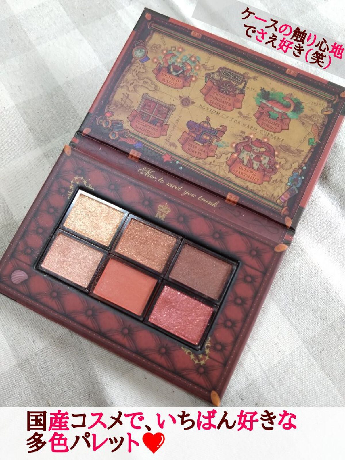 ナイストゥミーチュートランク/MAJOLICA MAJORCA/アイシャドウパレットを使ったクチコミ(2枚目)