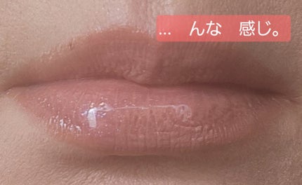 Shima on LIPS 「リップライナー、リップベース、チーク、プランパーで💋塗ってみた..」(1枚目)