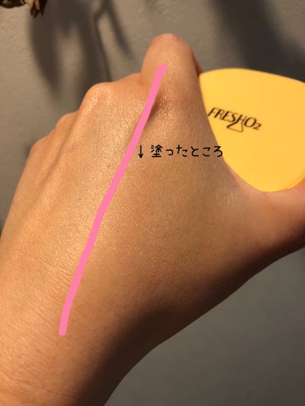 クラウドオールウェイズオン クッションファンデ ーション/FRESHO2/クッションファンデーションを使ったクチコミ(5枚目)