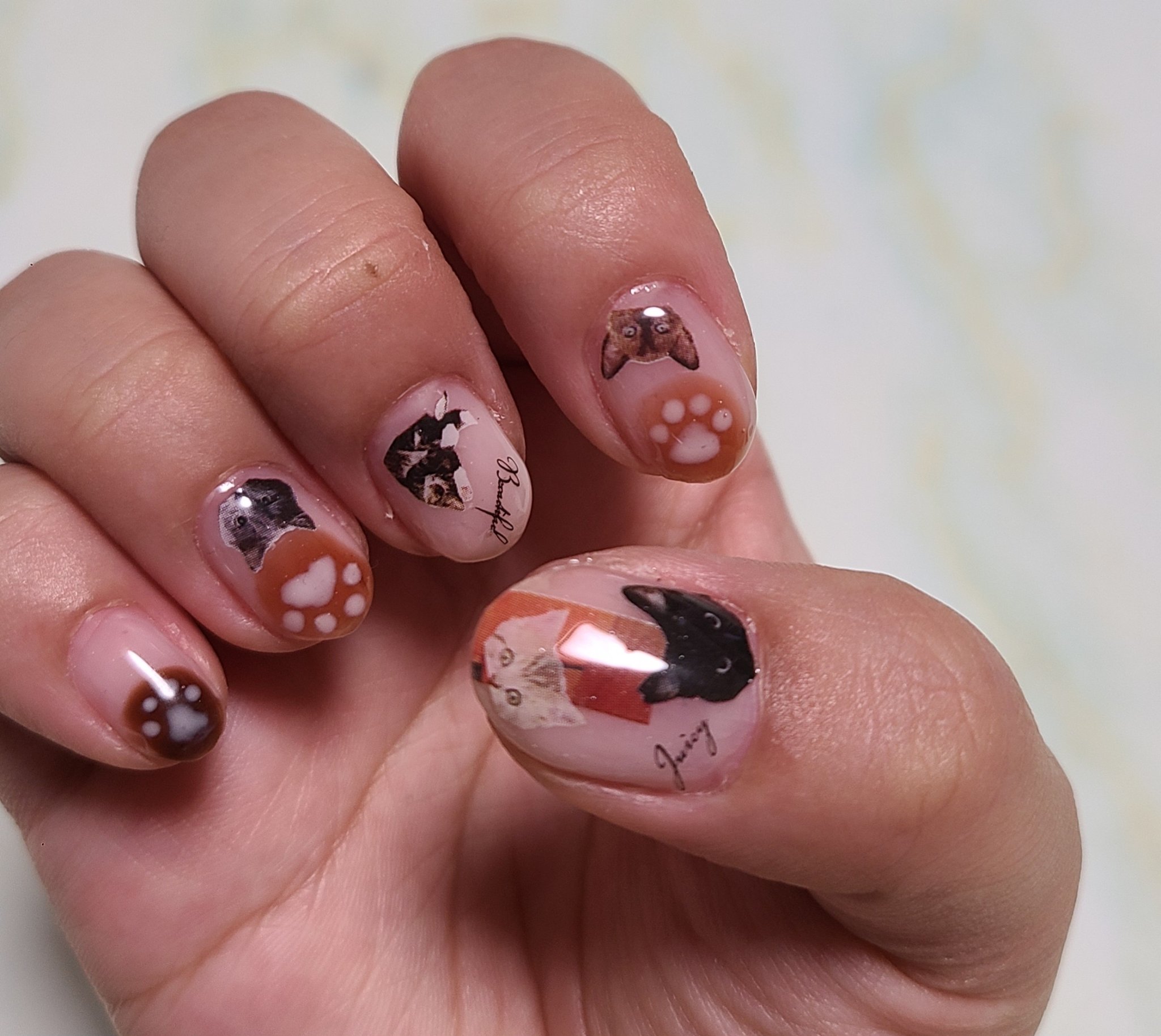 パル カラージェル ガーネットブラウン/キャンドゥ/ジェルネイルを使ったクチコミ（2枚目）