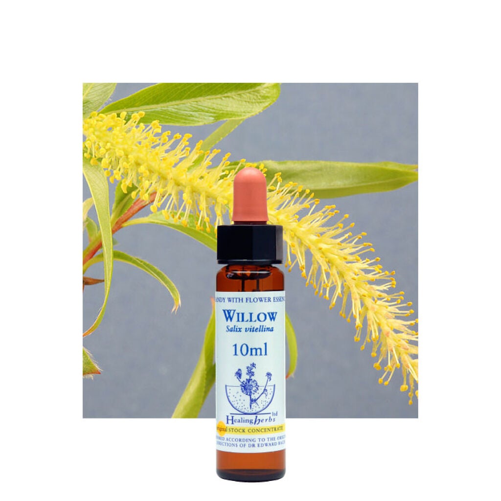 ヒーリングハーブフラワーエッセンス ウィロウ