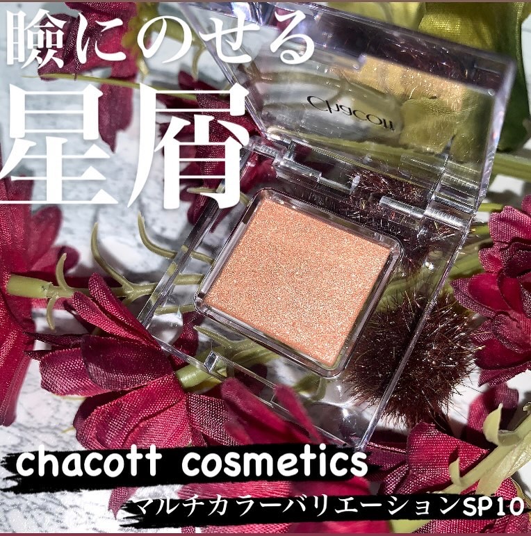 マルチカラーバリエーション スパークル SP10/チャコット・コスメティクス/単色アイシャドウを使ったクチコミ（1枚目）