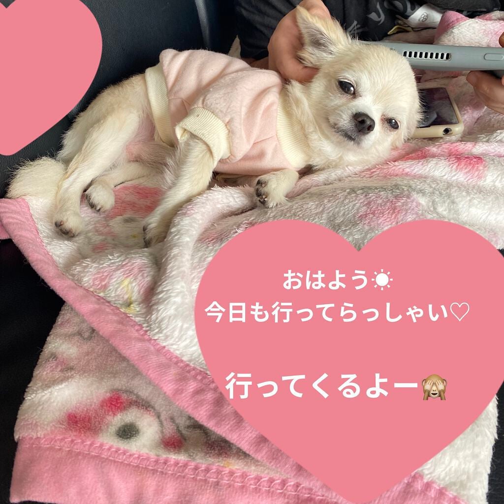 ソレイユ ネージュ シマリング ボディ オイル/TOM FORD BEAUTY/ボディオイルを使ったクチコミ(9枚目)