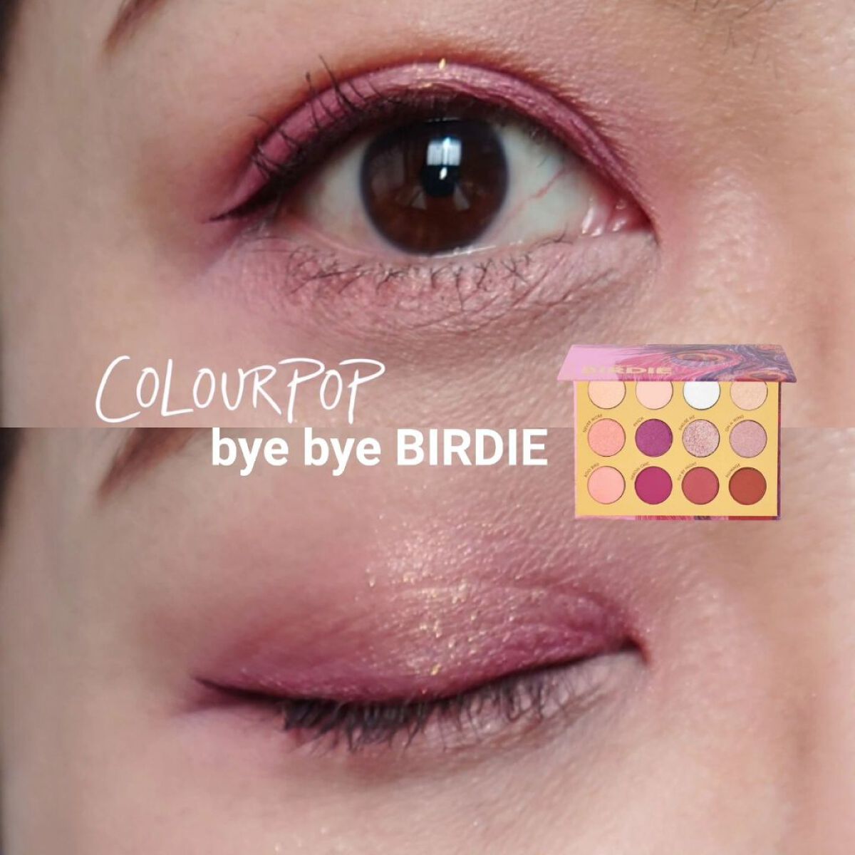 BYE BYE BIRDIE/ColourPop/アイシャドウパレットを使ったクチコミ（1枚目）