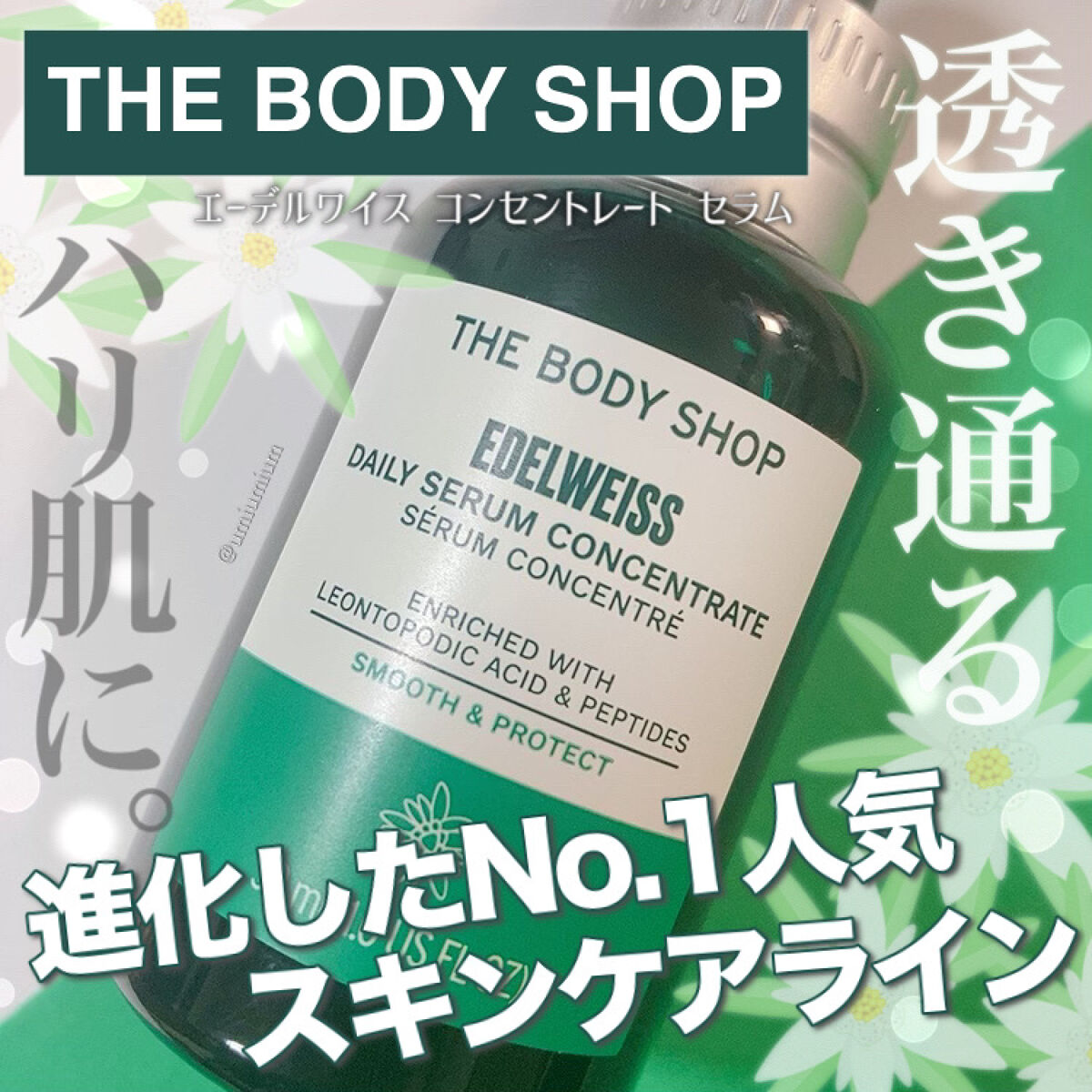 EDW コンセントレート セラム/THE BODY SHOP/美容液を使ったクチコミ（1枚目）