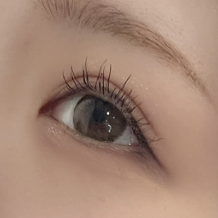 ノーズ＆アイブロウパウダー/CEZANNE/パウダーアイブロウを使ったクチコミ（2枚目）